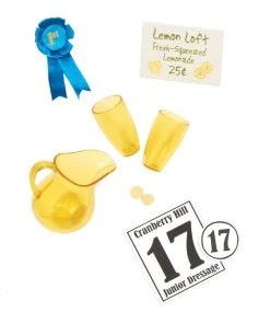 Our Generation Deluxe Lily Anna Doll W/ Book -Barbie Shop BD31009A Lily Anna Accessories 04 99779.1576115625