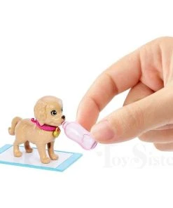 Barbie Pup Adoption Doll & Puppies Playset 11 Barbie Pup Adoption Doll & Puppies Playset -Barbie Shop PbvI8cc11673426846 800x800 56792.1675995836